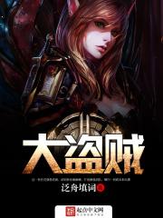 网游之大盗贼盘