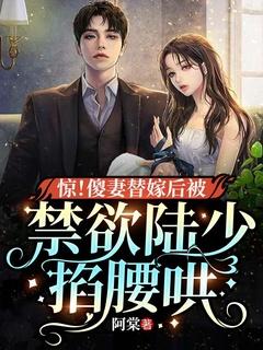 傻了替嫁