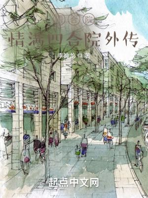 四合院情满四合院外传免费